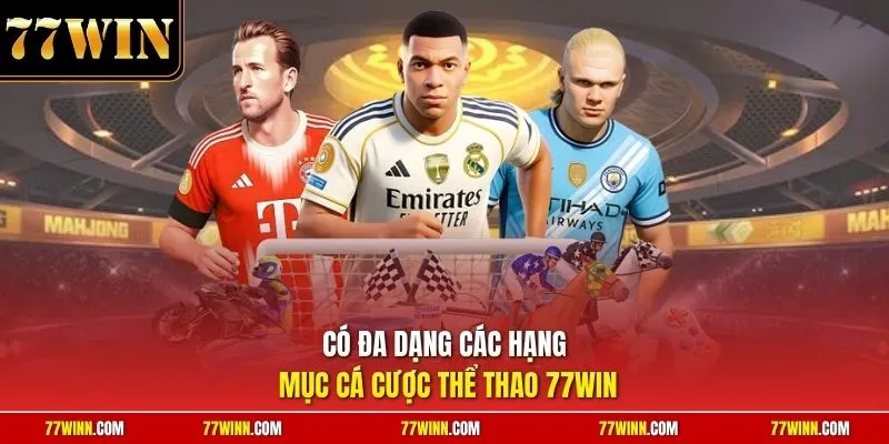 Có đa dạng các hạng mục cá cược thể thao 77Win