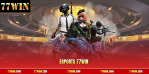 Esport 77Win
