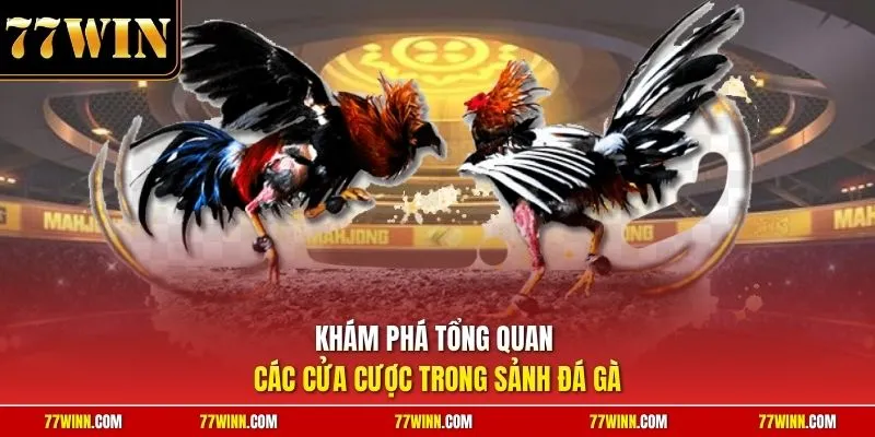 Khám phá tổng quan các cửa cược trong sảnh đá gà