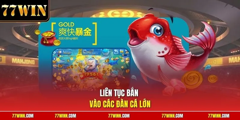 Liên tục bắn vào các đàn cá lớn