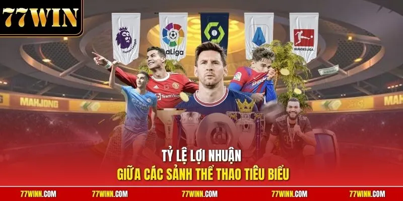 Tỷ lệ lợi nhuận giữa các sảnh thể thao tiêu biểu